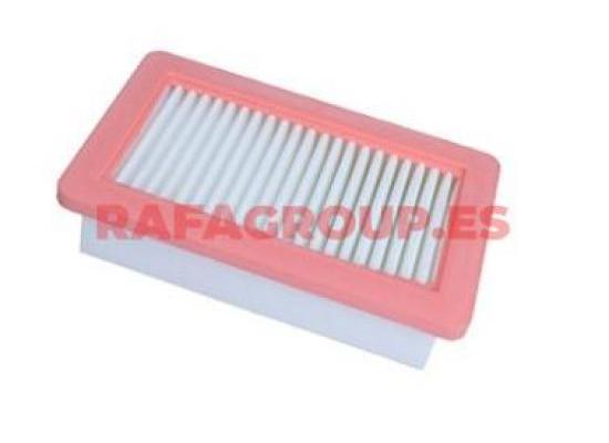 RGC22033 - Luftfilter